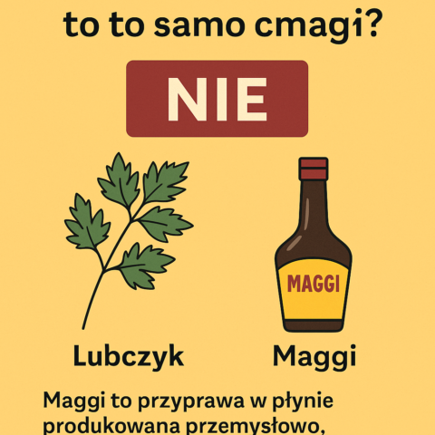 czy lubczyk to to samo co maggi