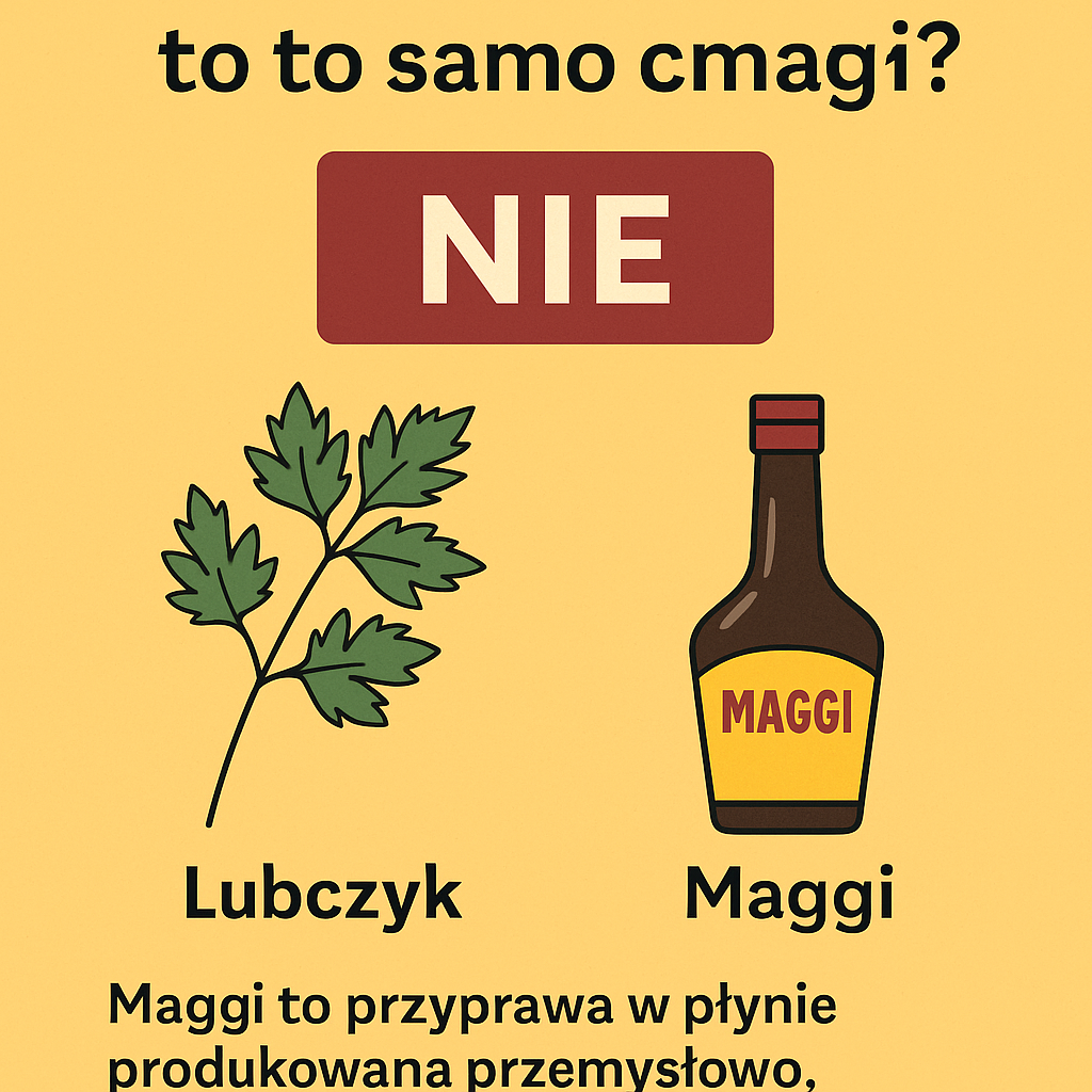 czy lubczyk to to samo co maggi