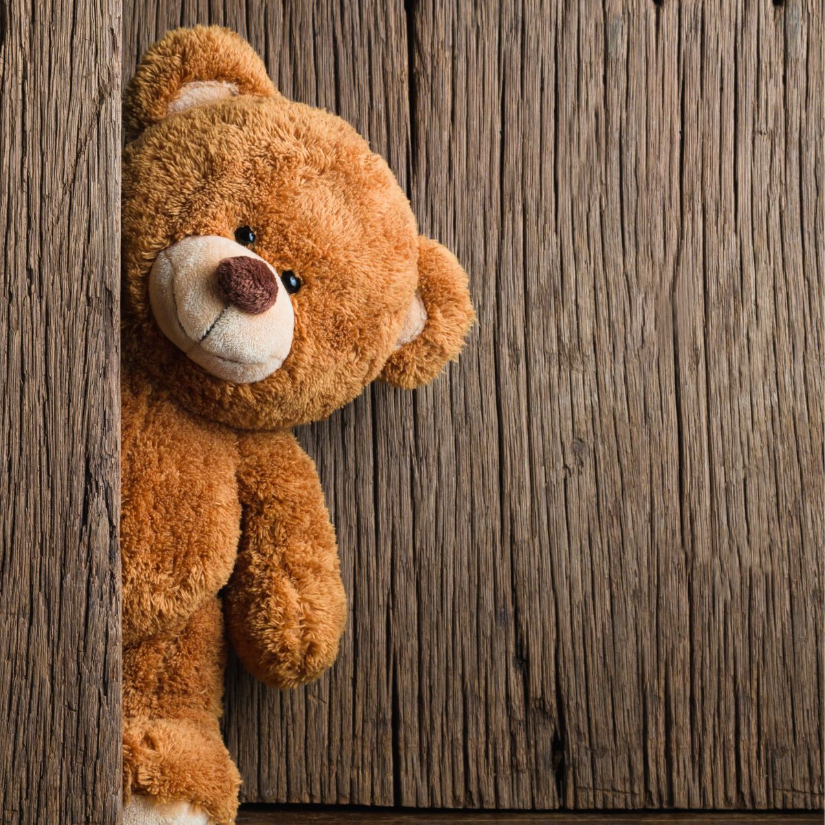 Jak można nazwać misia