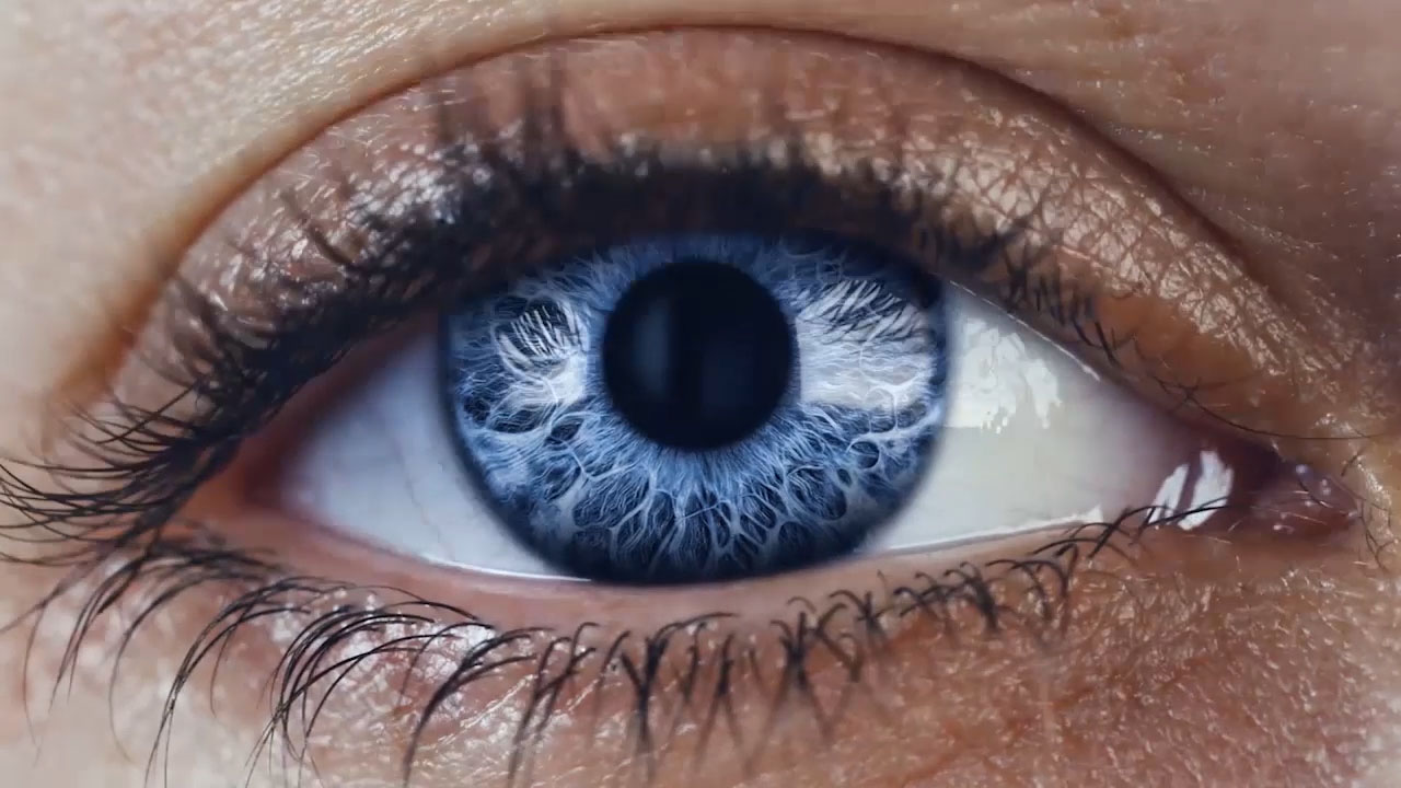 Zeiss Optyk Kułaga